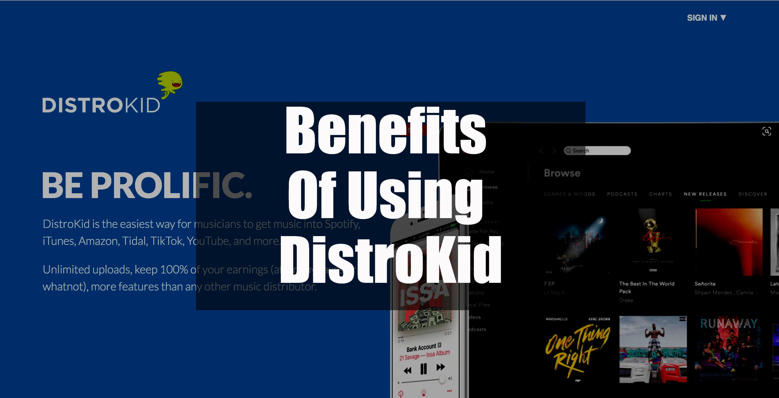 Benefits Of Using DistroKid