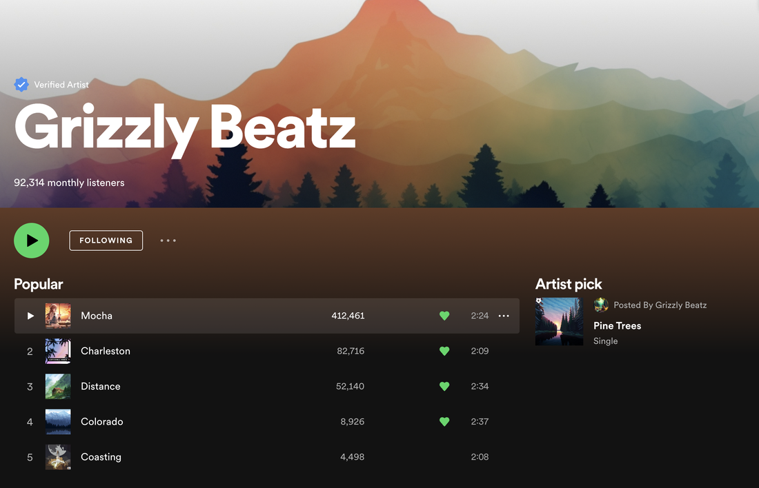 Optimize Your Spotify Profile